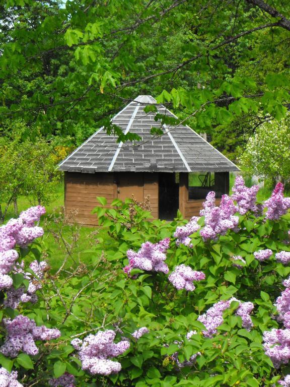 Lake Trail Guesthouse Cumberland エクステリア 写真